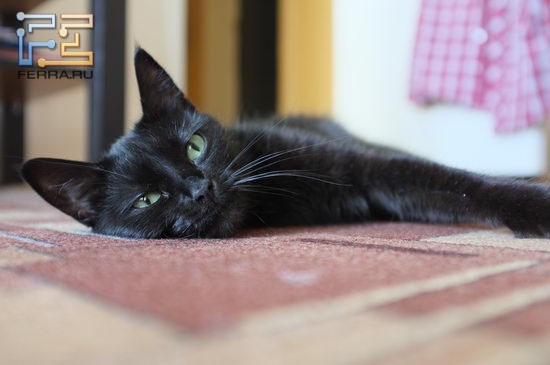 F/2.8, 1/27 c, ISO 800, 35 