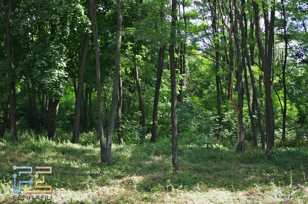  =57, f/4,5, 1/125 , ISO 200, HDR Auto