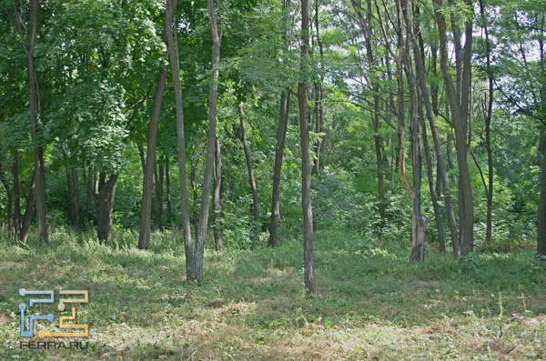  =57, f/4,5, 1/125 , ISO 200, HDR 2