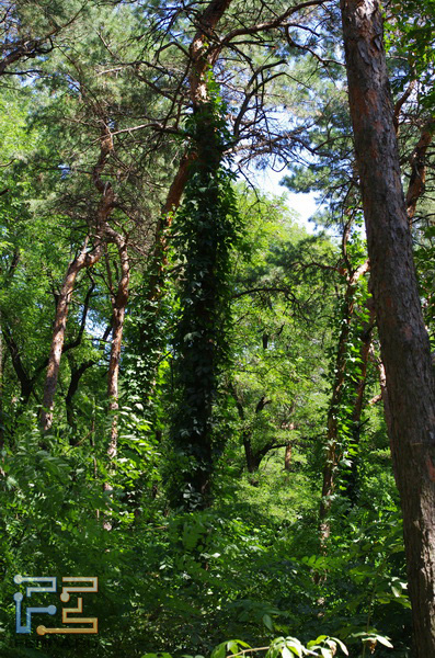  =64, f/8,0, 1/200 , ISO 400