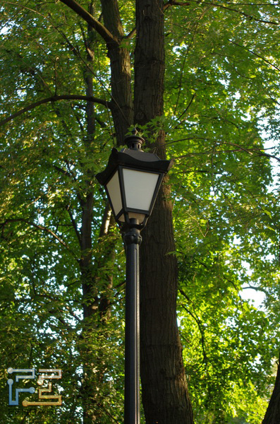  =82, f/5,6, 1/60 , ISO 400