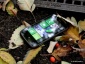 Обзор HTC 7 Mozart: Россия стала первой в Европе и второй в мире