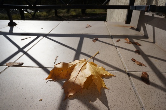 F/13, 1/640 c, ISO 200, 24 