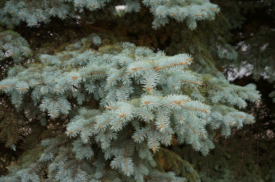 F/4.5, 1/80 , ISO 125, 63 