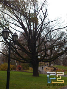  ,    Sony Ericsson Xperia Arc S