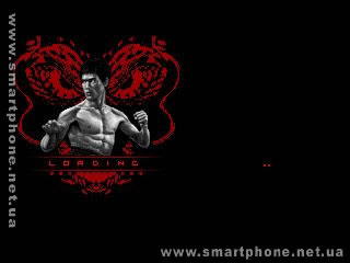 Bruce Lee  Iron First