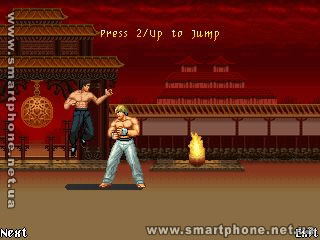 Bruce Lee  Iron First