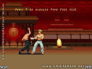 Bruce Lee  Iron First