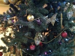   Samsung Galaxy Nexus  Android 4:  