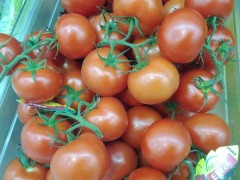   Samsung Galaxy Nexus  Android 4:  