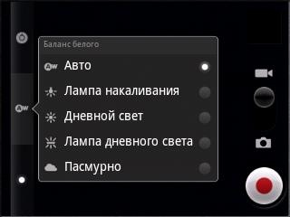 916 (ZTE Racer X850)