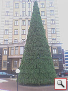 HTC P3600 (Trinity): ,   