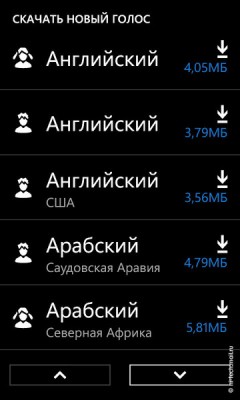   Nokia Lumia 710:  Windows Phone