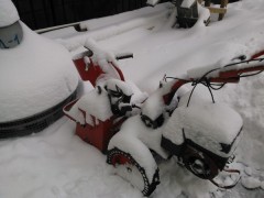   Nokia Lumia 710:  Windows Phone