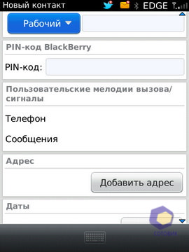  BlackBerry Torch