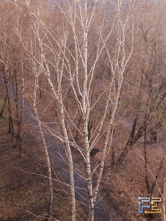 ISO 250, 47 , F/2,5, 1/640 c