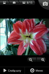  LG Optimus One (P500):    Android