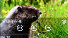  Nokia Lumia 800:   Windows Phone 