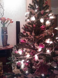  Nokia Lumia 800:   Windows Phone 