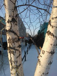  Nokia Lumia 800:   Windows Phone 