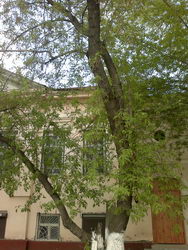  Nokia E7:    Symbian