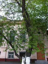  Nokia E7:    Symbian