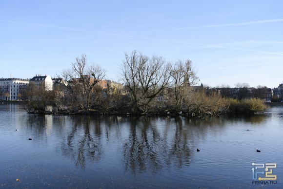 ISO 100, 33 , F/5.6, 1/320 c