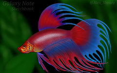  Samsung Galaxy Note:    