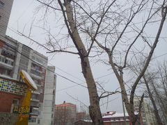  Samsung Galaxy Note:    