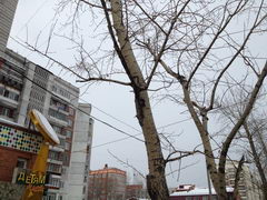  Samsung Galaxy Note:    