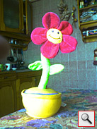 E-Ten X500 Glofiish: ,   