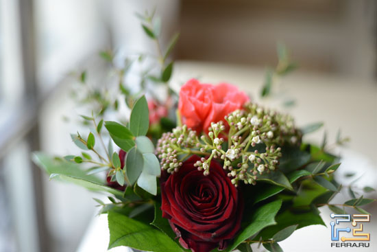 Nikon D800, ISO 800, 50 , f/1.8, 1/250 c