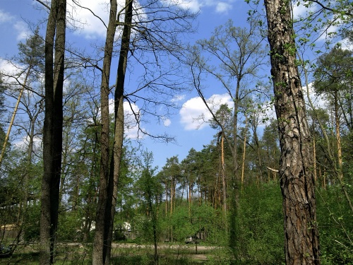 LG PRADA 3 LG PRADA 3