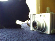 HP iPAQ rw6815: примеры работы встроенной камеры 4