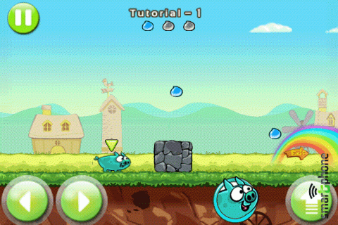   Angry Piggy Deluxe  Android OS