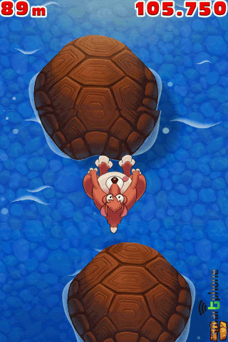   Crazy Kangaroo  Android OS