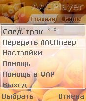 ����� ��������� AACPlayer 