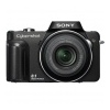  Sony DSC-H10