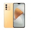  Vivo S12