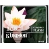   Kingston CompactFlash 2Gb