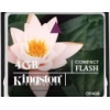   Kingston CompactFlash 4Gb