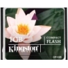   Kingston CompactFlash 1Gb
