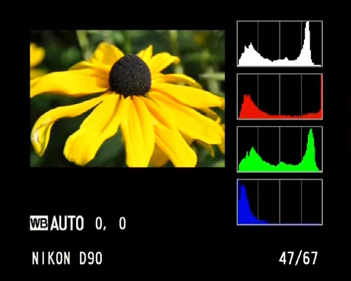 Nikon D90