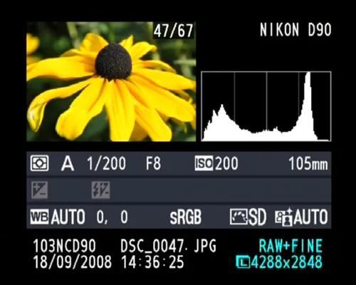 Nikon D90