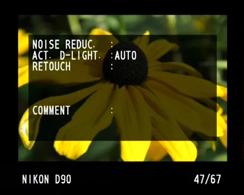 Nikon D90
