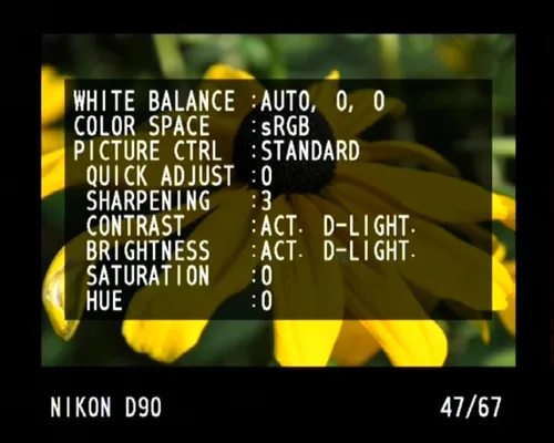 Nikon D90