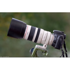 Canon EF 100-400mm f/4.5-5.6L IS USM -  1