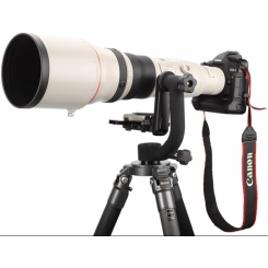 Canon EF 800mm f/5.6L IS USM -  2