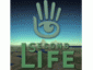 Second Life     