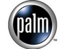 Palm   
